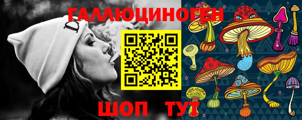 Псилоцибиновые грибы мицелий Ачинск