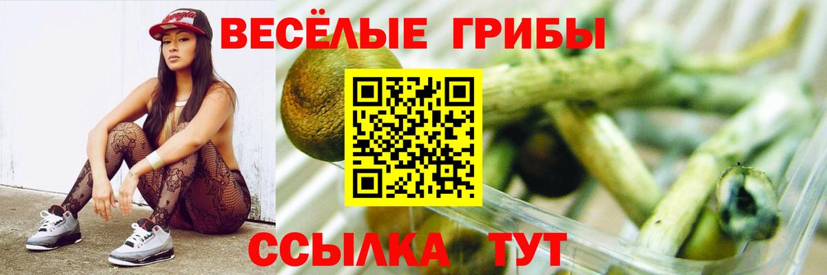Псилоцибиновые грибы мицелий  Псилоцибиновые грибы MAGIC MUSHROOMS  Ачинск  Вход с VPN 
